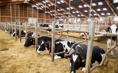 Vešligaj u Bruxellesu s povjerenicima Hansenom i Várhelyijem: prioritet – zaštita mliječnih krava i novi Ruralni pakt “krojen odozdo”