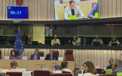 Vešligaj na izvanrednoj sjednici HOUS-a: “Plan EIB-a mora donijeti priuštive stanove i u ruralne općine, ne samo u metropole”