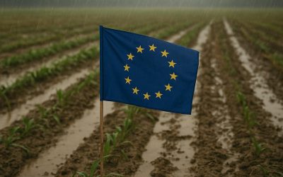 Europska komisija prihvatila Vešligajev prijedlog: novi krizni fond za brzu pomoć poljoprivrednicima pogođenima katastrofama