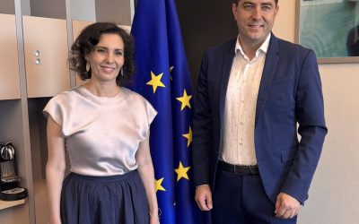 Vešligaj u Strasbourgu: „Rodno uvjetovano nasilje mora postati kazneno djelo EU-a – ispod toga se ne smije ići“