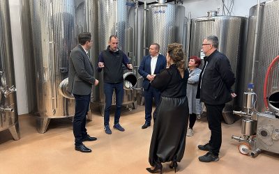 Vešligaj u Međimurju: „Zlatna žutica ne smije uništiti ono što su generacije vinara stvarale“