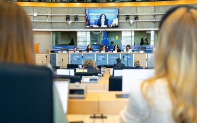 Vešligaj o novoj Strategiji Komisije: “Dobar smjer, ali bez obvezujućih mjera nema stvarne promjene”