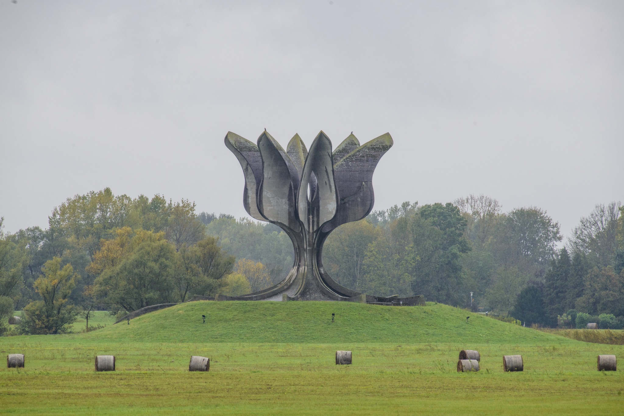 jasenovac
