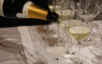 Vešligaj: „Zagorje je vino“ priča je o ljudima, tradiciji i budućnosti našeg vinogradarstva